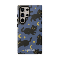 Midnight Cats